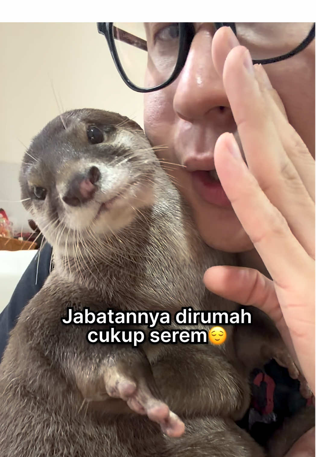 Close-up portrait of Degen the otter being held up by his owner