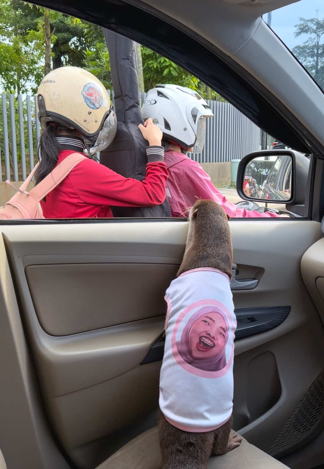 Degen the otter in a white printed shirt leaning out of a car window toward two riders